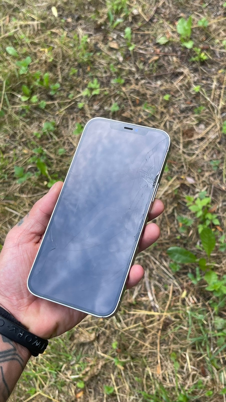 iPhone 12 Pro Max 256 GB, 256 GB, Gebruikt, Zonder simlock, Goud