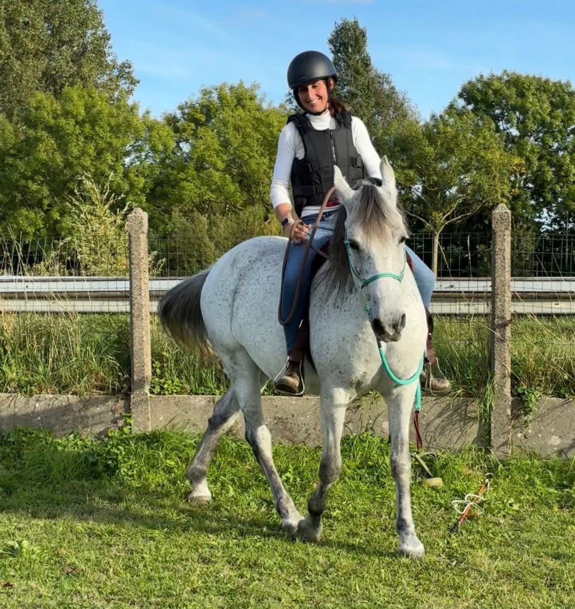 D-Pony merrie bitloos en bareback, Merrie