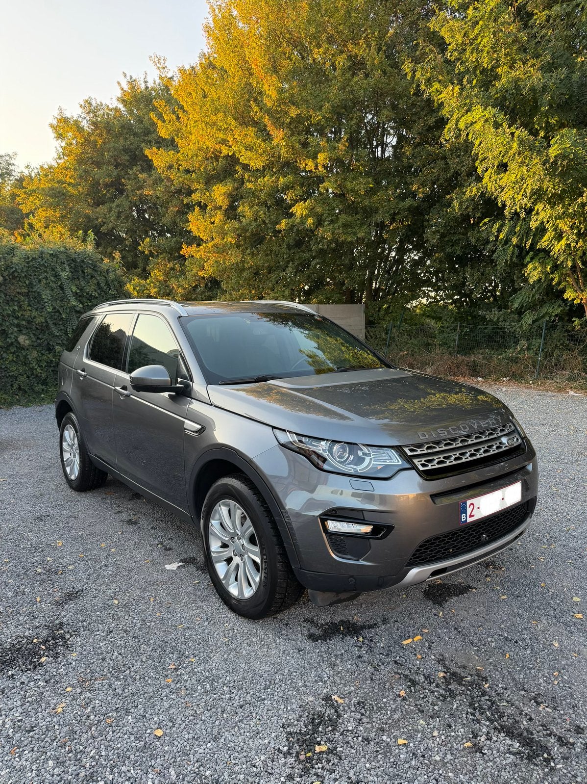 Land Rover Discovery Sport, Cuir, Argent ou Gris, Achat, Carnet d'entretien
