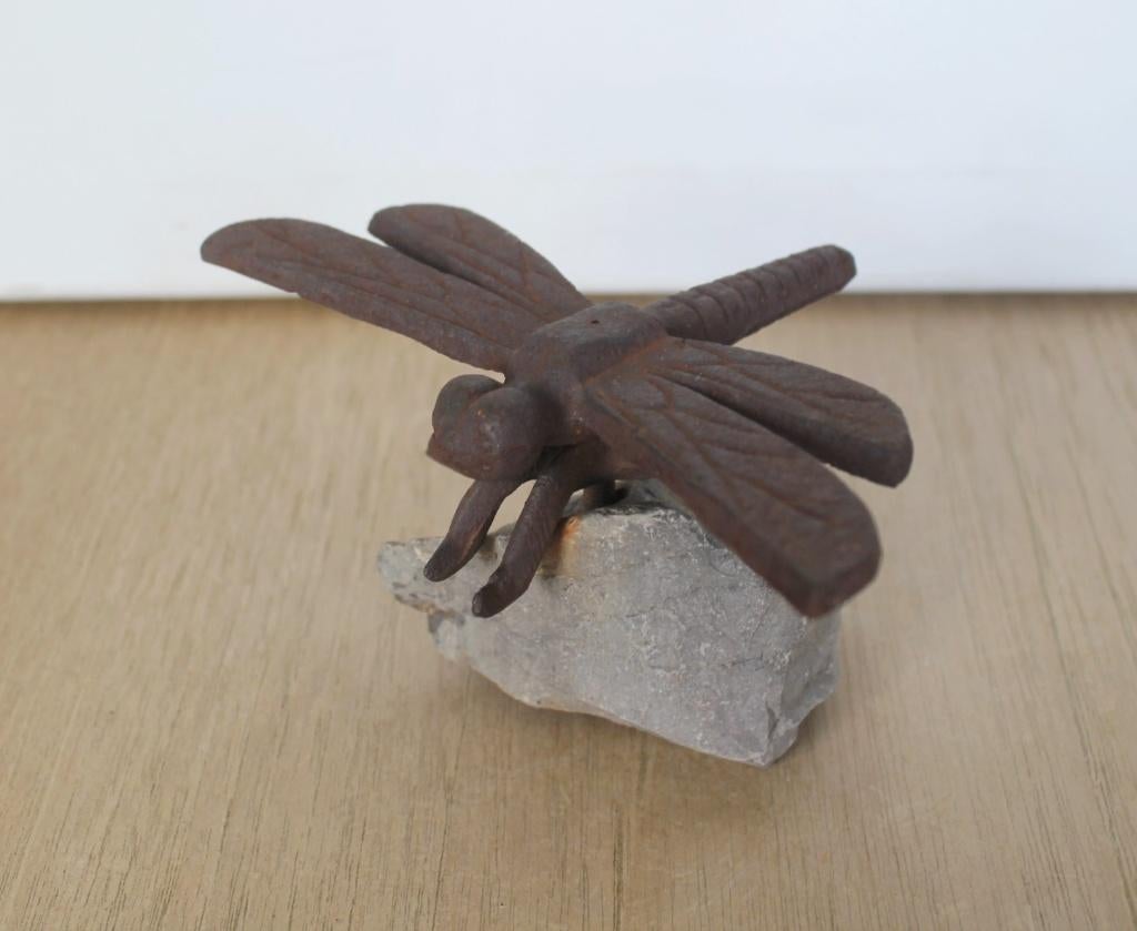 Leuke libelle, gietijzer, on the rocks, Ophalen of Verzenden, Zo goed als nieuw, Metaal, Dierenbeeld