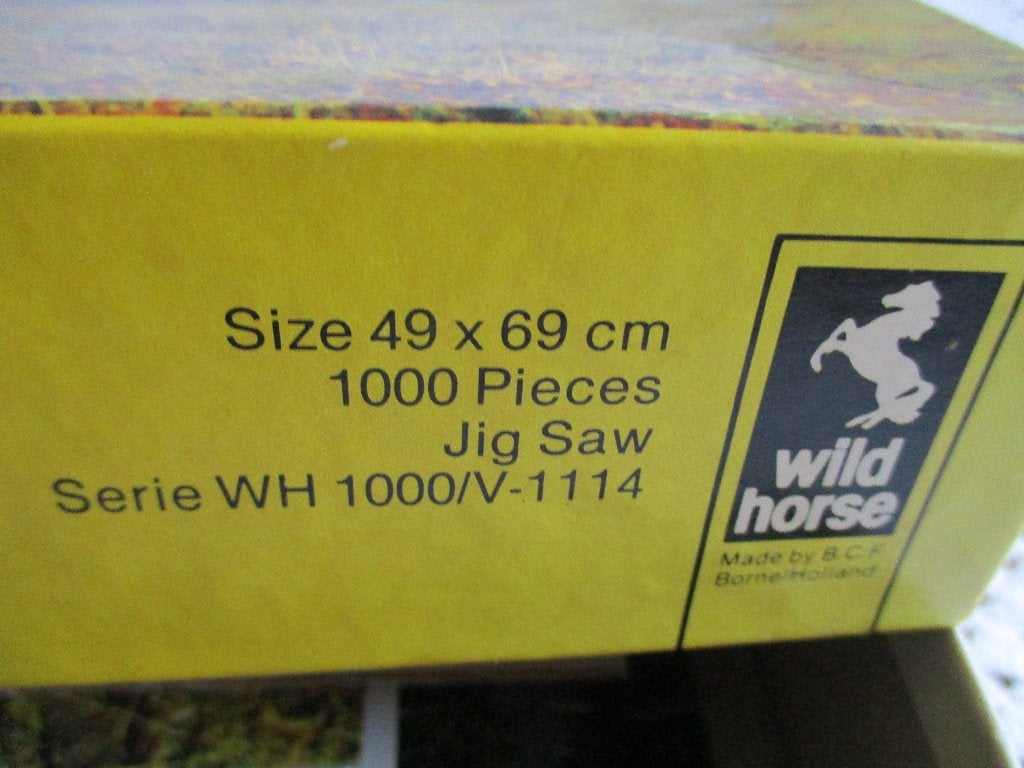 Puzzle Geroldsee avec Karwendel Allemagne 1000 pièces, Enlèvement ou Envoi, 500 à 1500 pièces, Comme neuf, Puzzle
