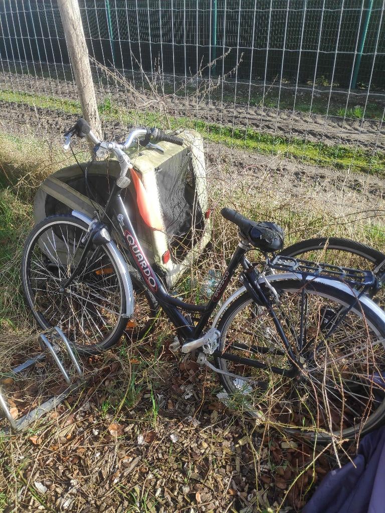Oude stadfiets dames, Ophalen, Gebruikt, Velgrem, Versnellingen