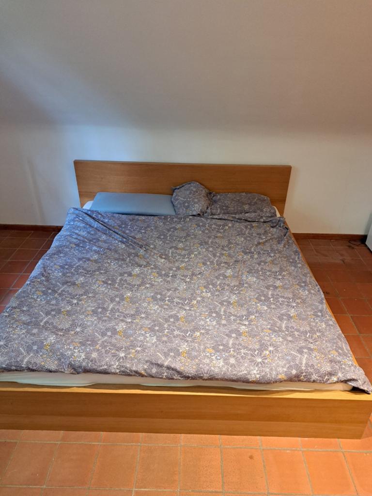 Bed 180x200 met elektrische lattenbodem, Ophalen