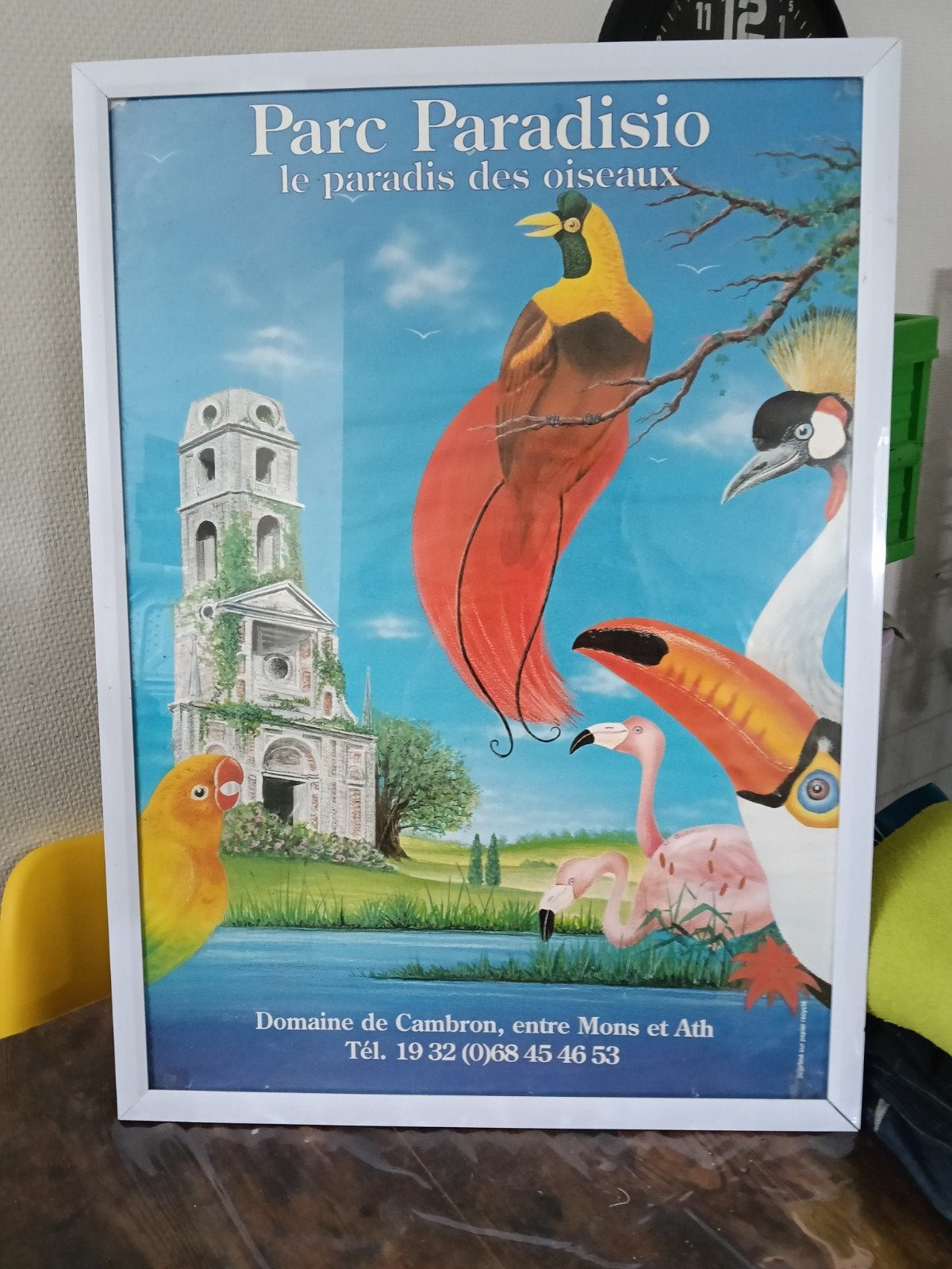Affiche Paradisio a collectionner