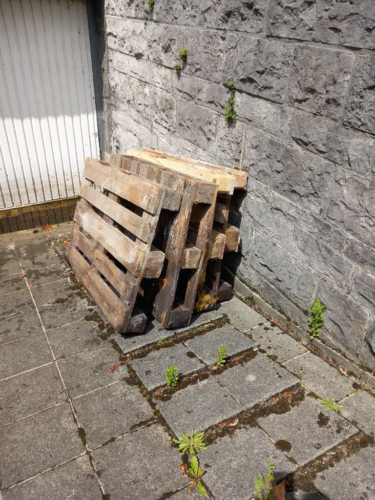 8 houten pallets – GRATIS af te halen, Doe-het-zelf en Bouw, Hout en Planken, Gebruikt, Pallet, Ophalen