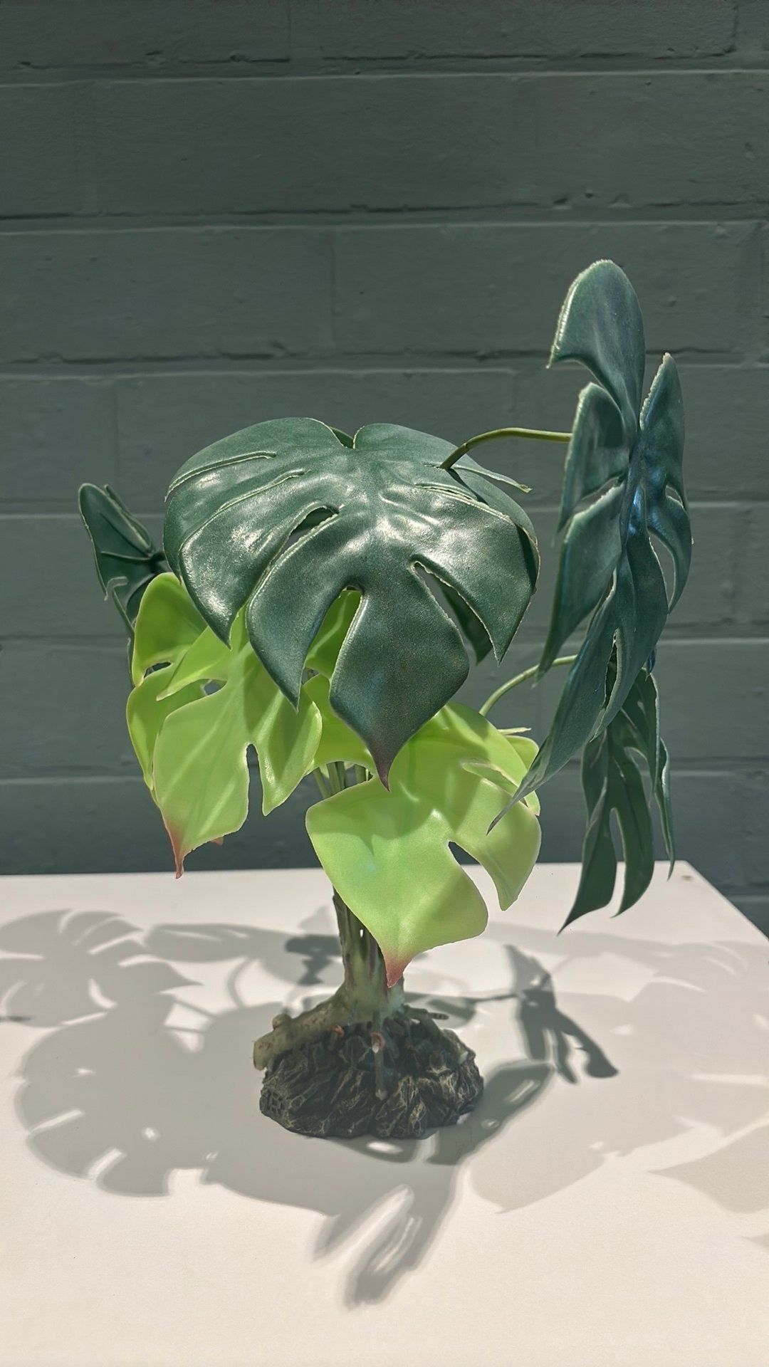 Kunstplant Monstera voor terrarium 30cm, Enlèvement, Branche, Plante, Roche ou Pierre