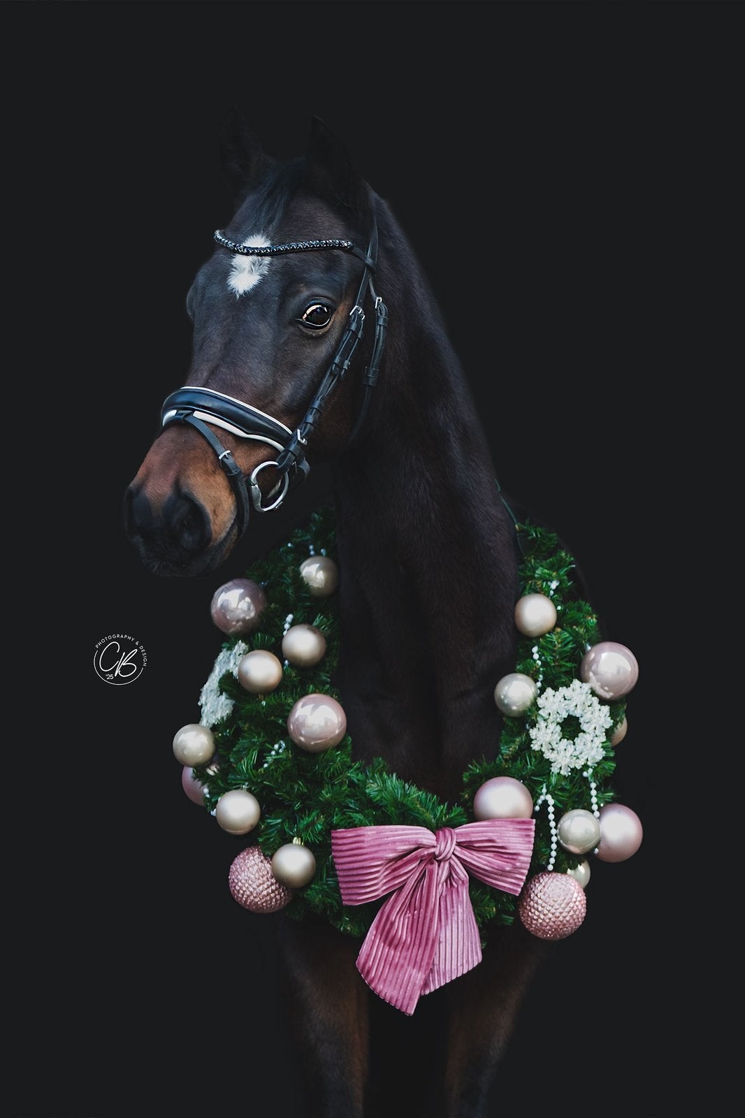 Te Koop: Delinov, fantastische kinderpony, Dieren en Toebehoren, Ophalen, Zo goed als nieuw, Dressuur