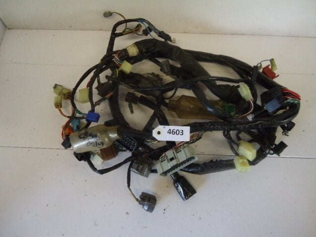 CB900F 2002 - 2007 Honda Kabelboom Kabelboom hoofd D1-16731