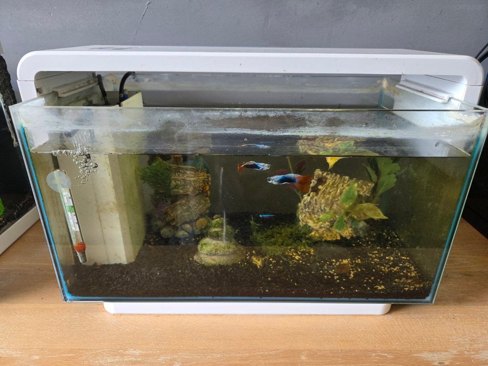 2 kleine aquariums, Ophalen, Verwarming, Filter