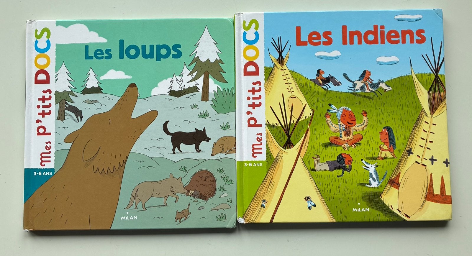 Mes p’tits docs indiens et loups, Garçon ou Fille, Enlèvement, Utilisé, 4 ans