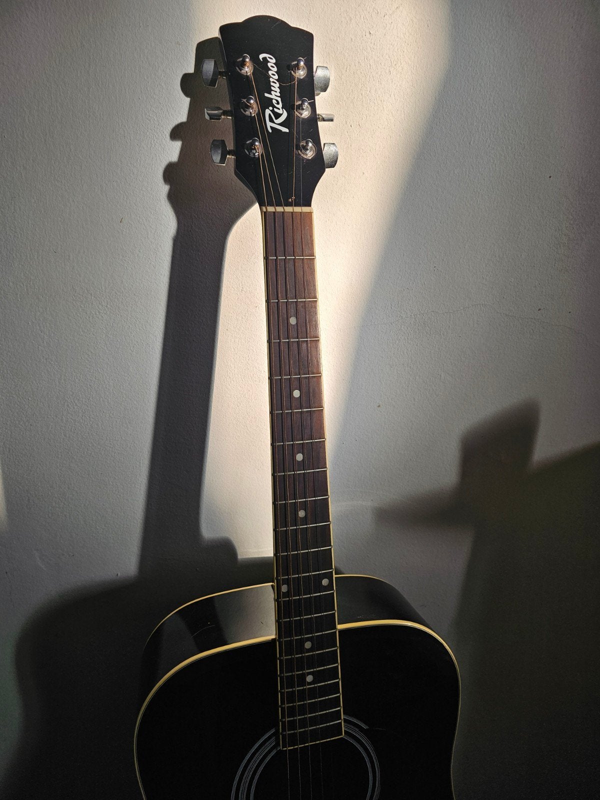 Richwood Accoustische Gitaar + Extra's, Musique & Instruments, Enlèvement ou Envoi, Utilisé, Guitare classique ou espagnole, Avec capteur (piezo)