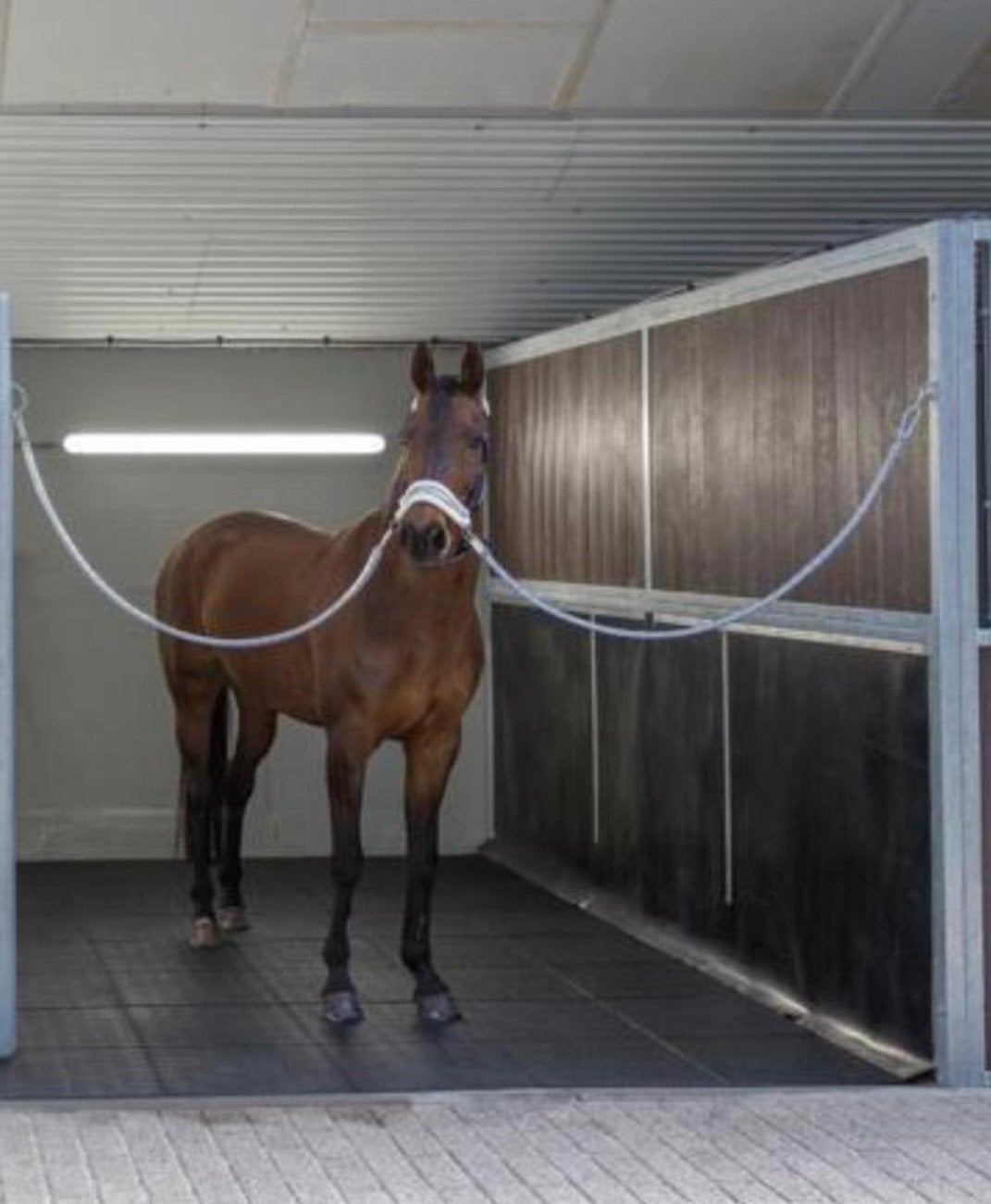 32 Rubber tegels 100x100 stal wasplaats paddock drainage, Dieren en Toebehoren