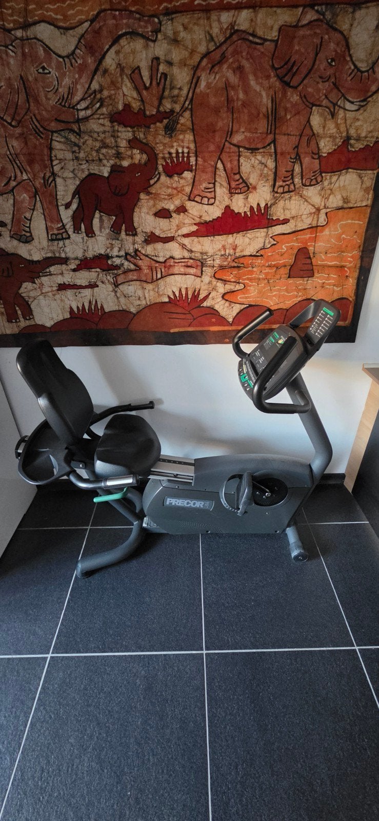 Precor C846 - hometrainer - recumbent bike, Sport en Fitness, Ophalen, Zo goed als nieuw, Overige typen