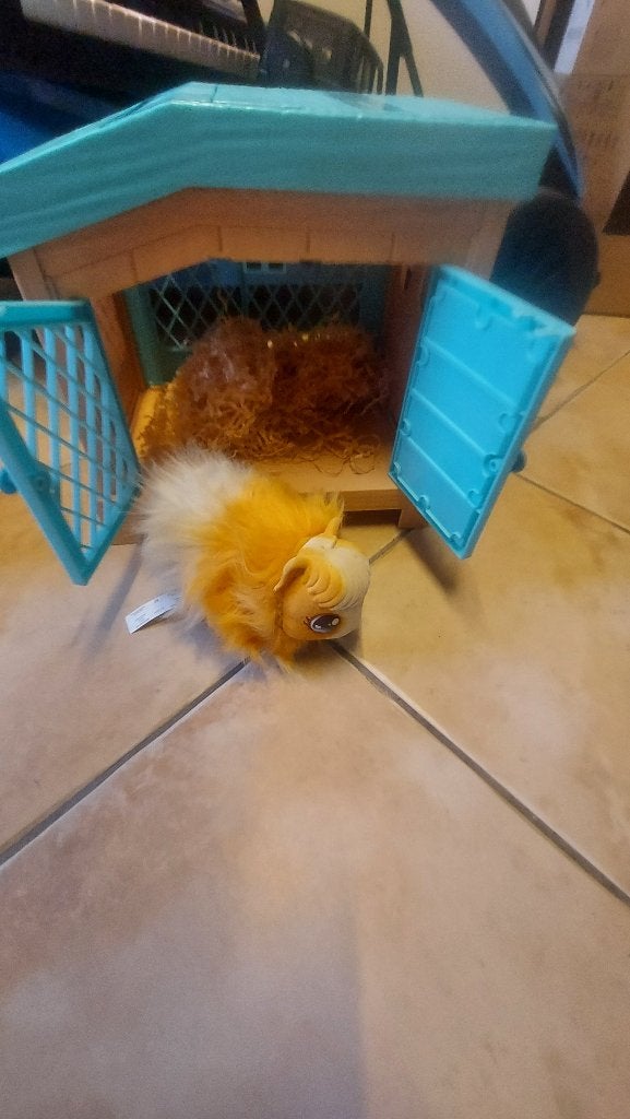 Mama cavia, Kinderen en Baby's, Ophalen, Zo goed als nieuw