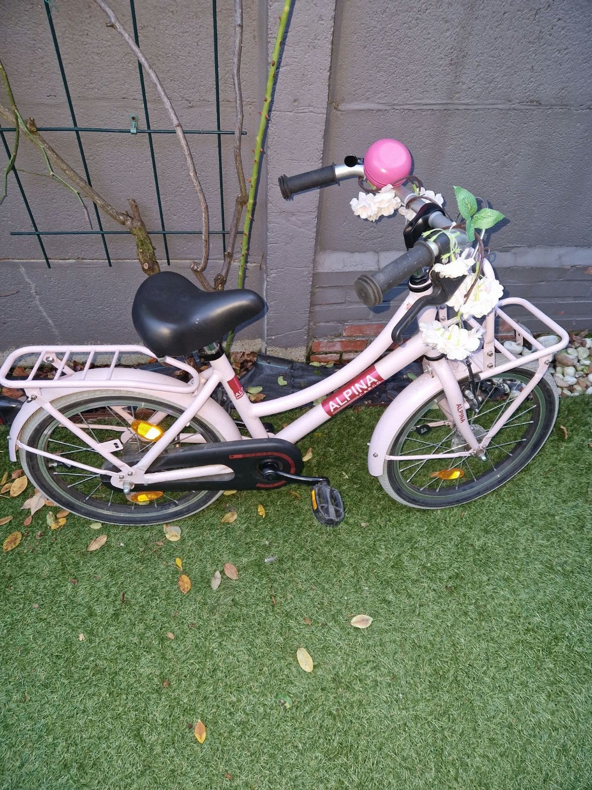 Prachtige meisjesfiets Alpina 20 inch, Fietsen en Brommers, Ophalen, Zo goed als nieuw, 20 inch