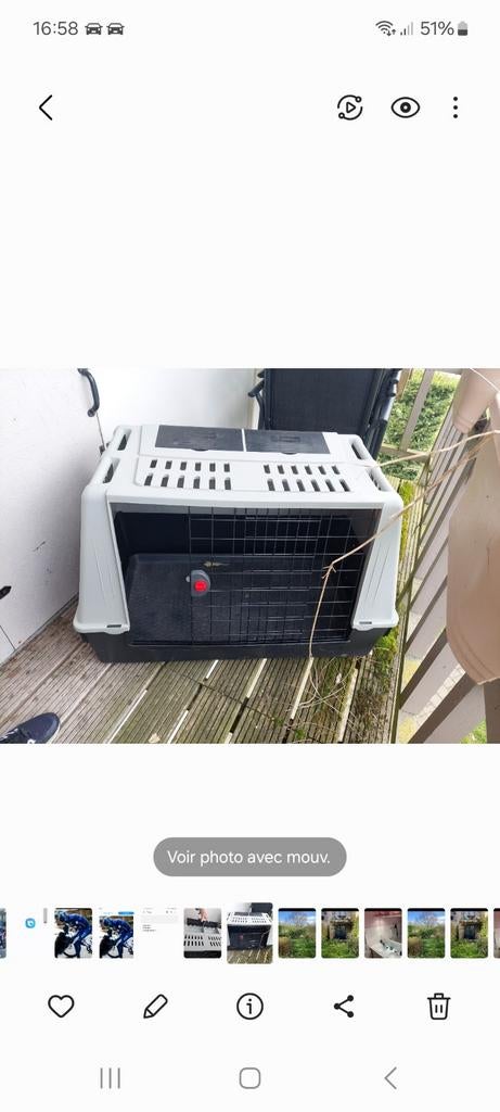 Cage de transport pour chien, Enlèvement