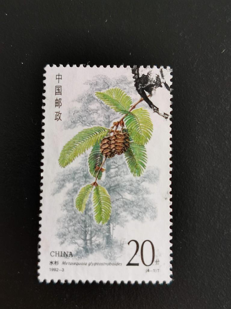 Chine 1992 - arbres - métaséquoia, Enlèvement ou Envoi, Affranchi, Animal et Nature