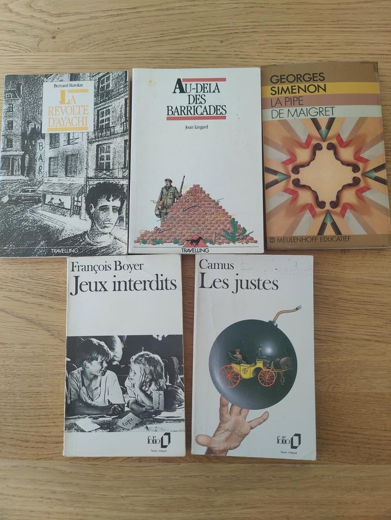 Franse klassiekers - 2€ per boek// 6€ voor alles, Enlèvement ou Envoi, Utilisé