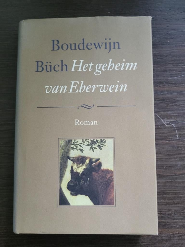 Boudewijn Büch Het geheim van Eberwein eerste druk, Enlèvement ou Envoi, Comme neuf