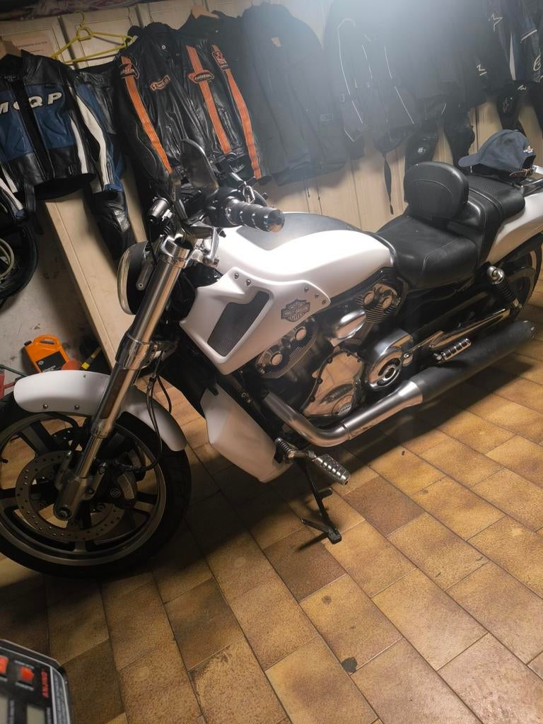 Harley Davidson V-rod muscle 1250cc Bj. 2012, 53000km,, Motoren, Motoren | Harley-Davidson, Particulier