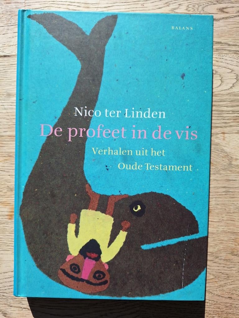 Kinderbijbel: Nico ter Linden - De profeet in de vis, Boeken, Godsdienst en Theologie, Zo goed als nieuw, Ophalen of Verzenden