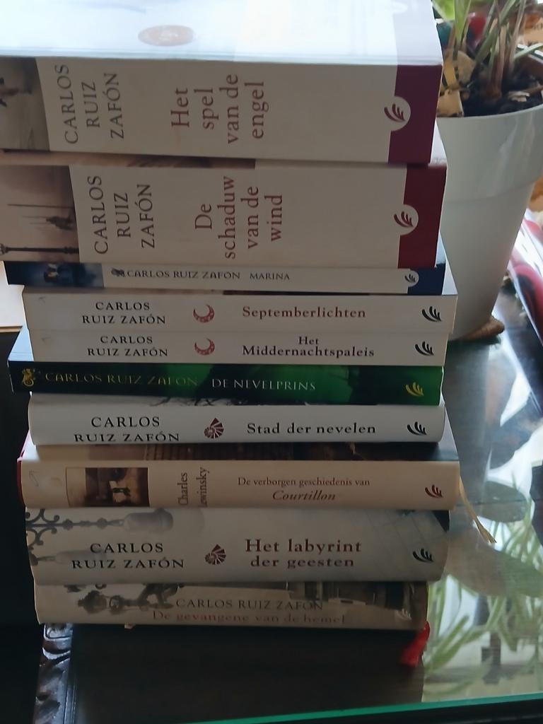carlos ruiz zafon, Ophalen, Gelezen