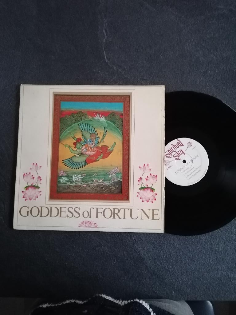LP Goddess of Fortune, Ophalen of Verzenden, Gebruikt, 12 inch