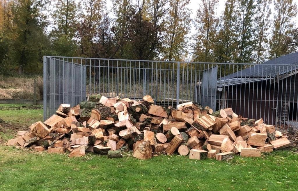 Partij brandhout, 3 à 6 m³, Enlèvement, Autres essences de bois, Bûches