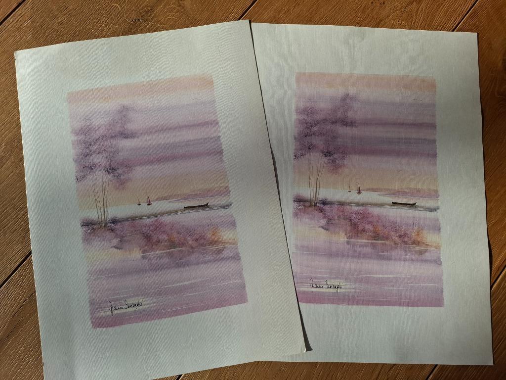 Aquarelles vintage, Enlèvement