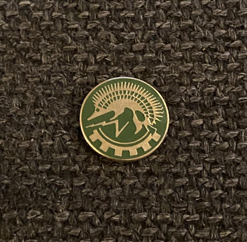 PIN - EGEL - HERISSON - HEDGEHOG, Envoi, Utilisé, Animal et Nature, Insigne ou Pin's