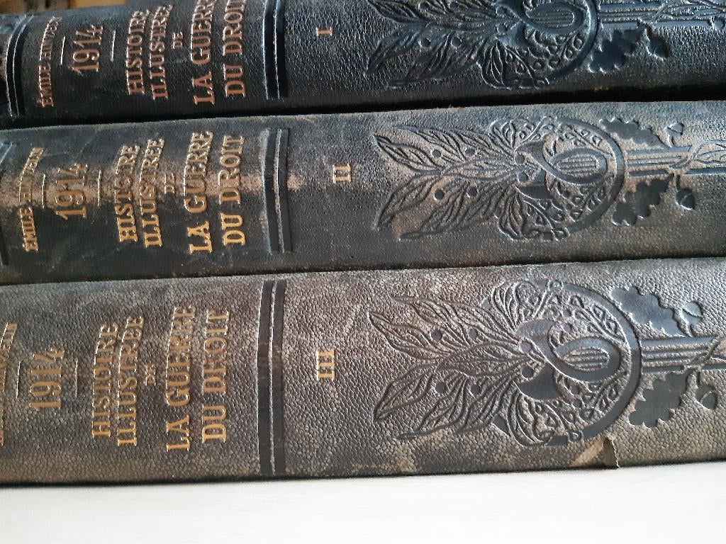 Histoire illustrée de la guerre du droit 1914, Enlèvement ou Envoi, Utilisé