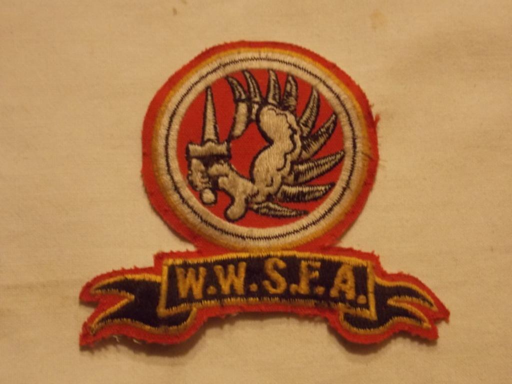 Patch de l'Amicale franco Belge du Katanga, Ophalen of Verzenden, Landmacht, Embleem of Badge