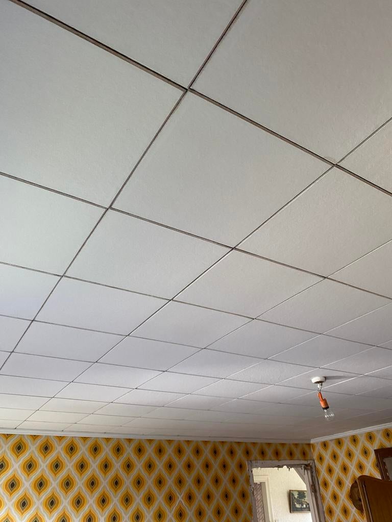 Plafondtegeks, Doe-het-zelf en Bouw, Ophalen, Gebruikt