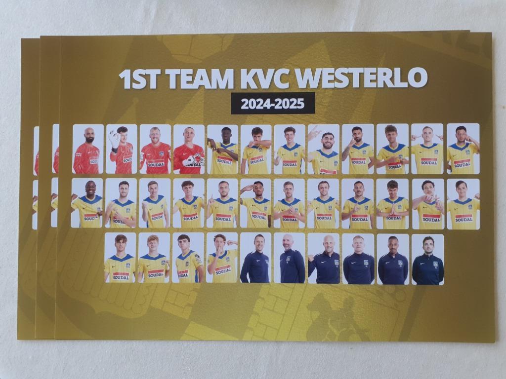 20 officiële voetbal ploegposters & 5 wedstrijdposters + ..., Enlèvement ou Envoi, Comme neuf, Affiche, Image ou Autocollant
