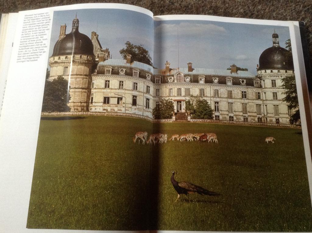 Boek De Fraaiste Kastelen v/d Loire ,mooie foto's en tekst, Ophalen of Verzenden, Zo goed als nieuw, Artis historia, Plaatjesalbum