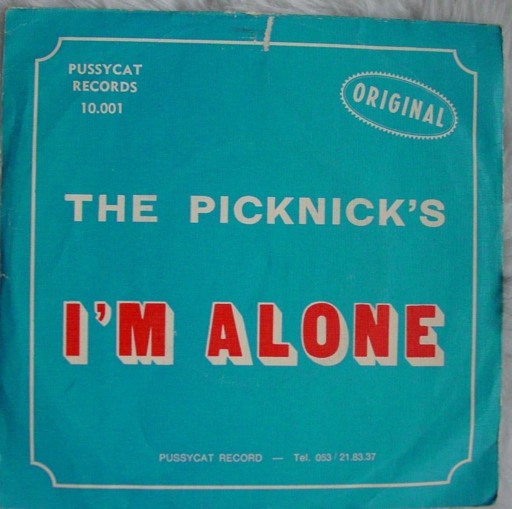 45T 7INCH VINYL SINGLE THE PICKNICKS, Cd's en Dvd's, Ophalen of Verzenden, Single