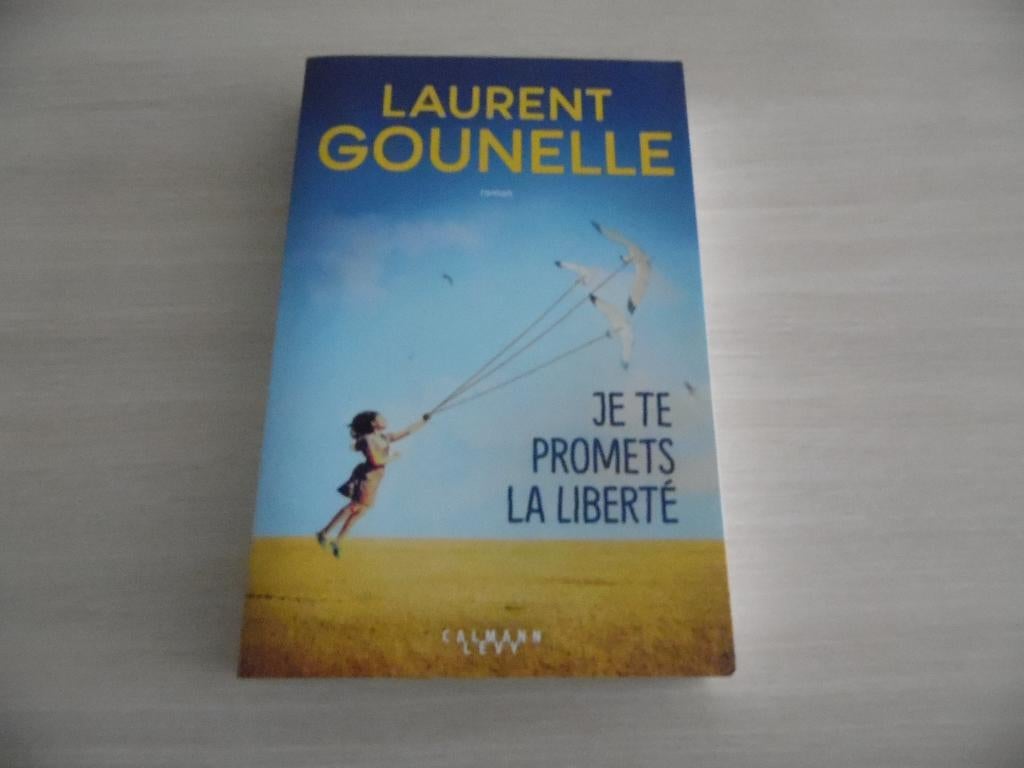 JE TE PROMETS LA LIBERTÉ       LAURENT GOUNELLE, Livres, Enlèvement ou Envoi, Laurent Gounelle, Comme neuf, Europe autre