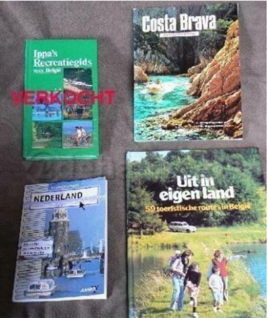 Verschillende reisgidsen, Ophalen of Verzenden, Reisgids of -boek