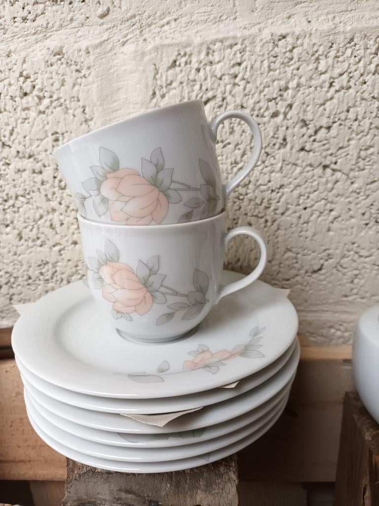 15 delig servies, Ophalen of Verzenden, Zo goed als nieuw