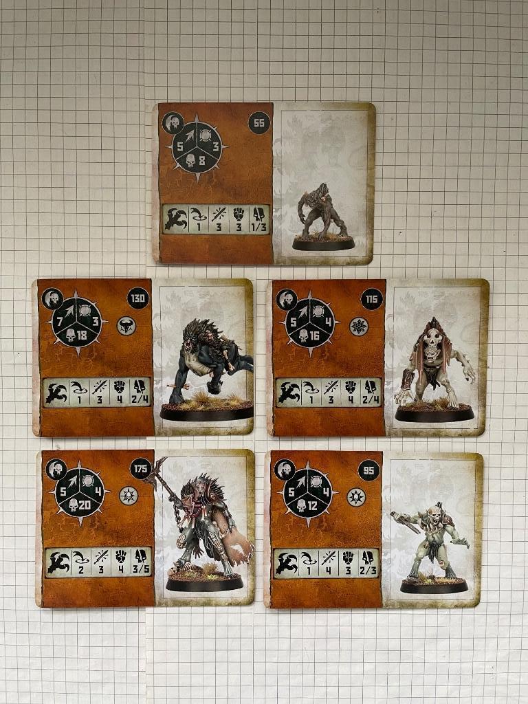 Cartes Warcry des Dépeceurs royaux des Cours de Mangechairs, Enlèvement ou Envoi, Comme neuf, Warhammer, Accessoires