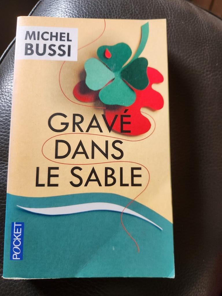 Livre «Gravé dans le sable » de Michel Bussi- Format  poche, Enlèvement ou Envoi, Utilisé, Michel Bussi