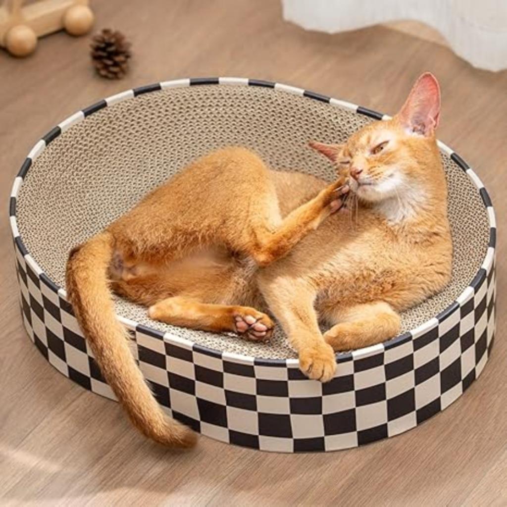 griffoir en carton pour chats | mois du grattage | Nouveau, Neuf, Griffoir, -, -