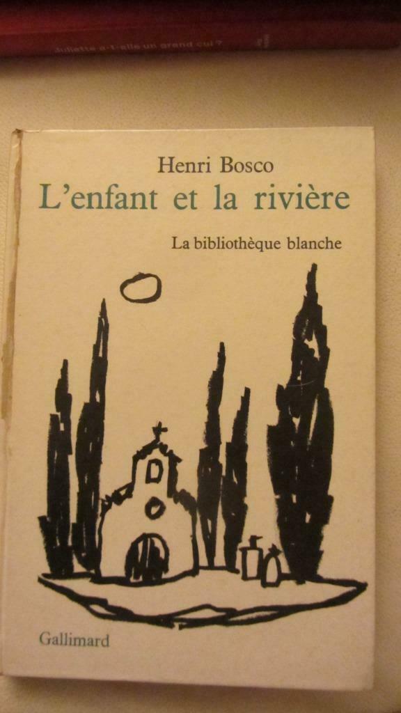 L' enfant et la rivière, Livres, Romans, Utilisé, Enlèvement ou Envoi