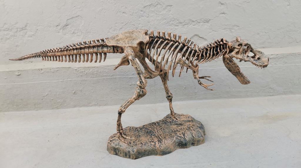 Dinosaurus Skelet - tirannosaurus rex - 83cm x 30cm x 37cm, Verzamelen, Dierenverzamelingen, Verzenden, Zo goed als nieuw, Overige soorten