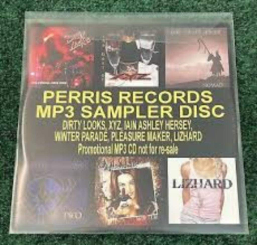 PERRIS RECORDS : MP3 Sampler disc, Enlèvement ou Envoi, Comme neuf