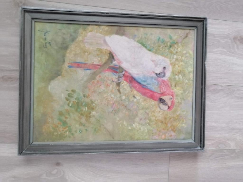 Schilderij papegaai, Antiek en Kunst, Ophalen
