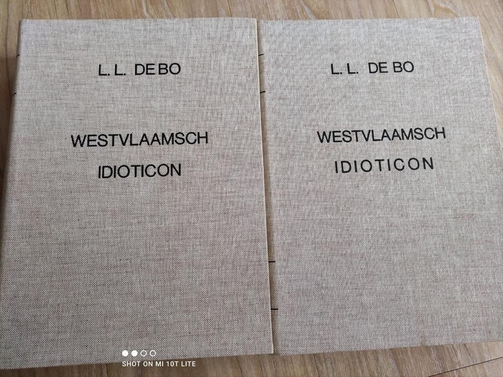 Westvlaamsch idioticon, 2 delen (herdruk) De Bo LL, Boeken, Ophalen, Zo goed als nieuw