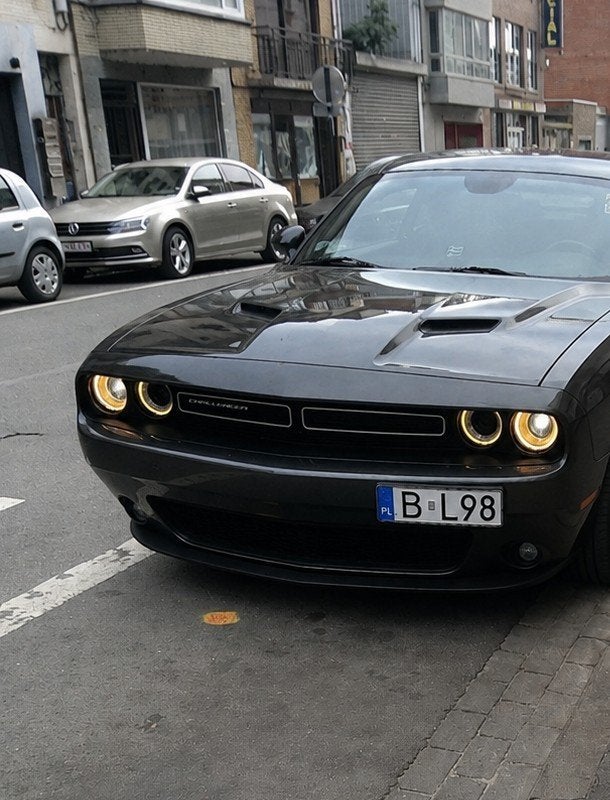 Dodge Challenger 3.6L V6, Autos, Dodge, Argent ou Gris, Achat, Carnet d'entretien, 2 portes