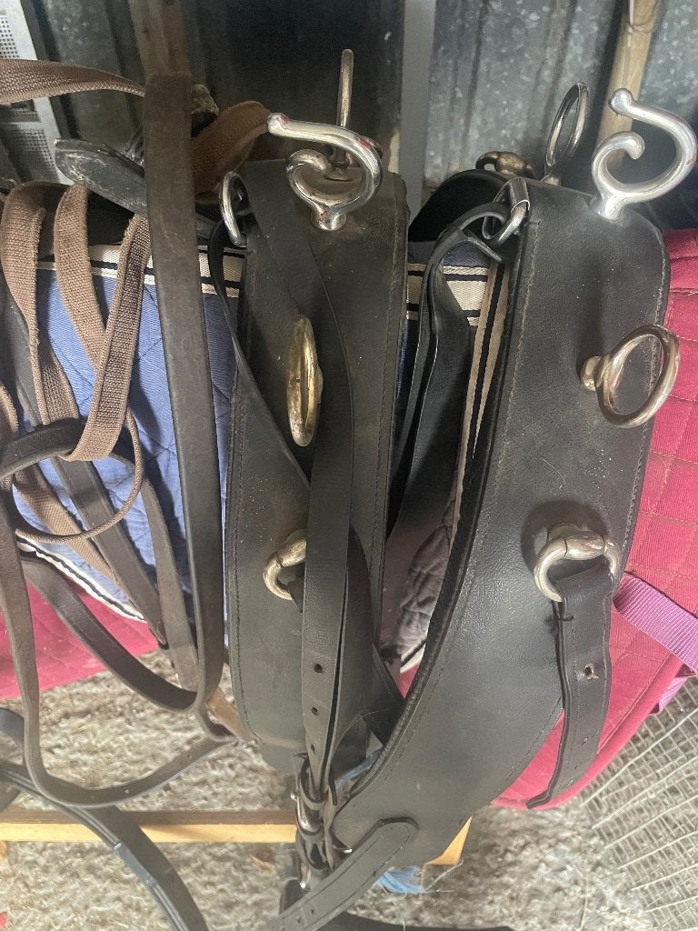 Compleet 2 span borst getuigd, Noir, Poney, Utilisé, BR