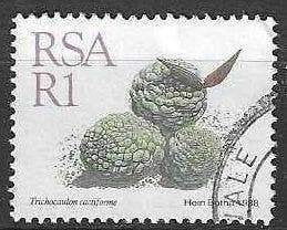 Afrique du Sud 1988 - Yvert 673 - Succulentes fleuries (ST), Envoi, Afrique du Sud, Affranchi